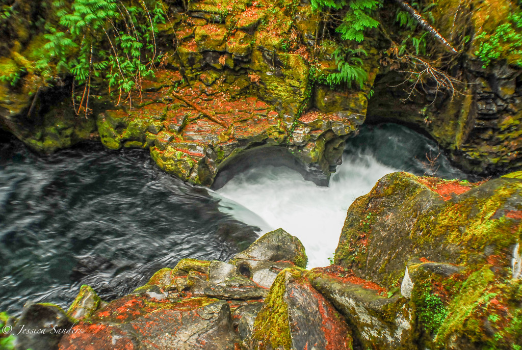 North Umqua National Forest-3